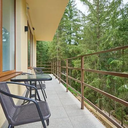 Hotel у борисовича & Palyanytsya