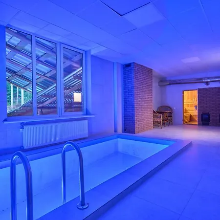 у борисовича & Otel Palyanytsya