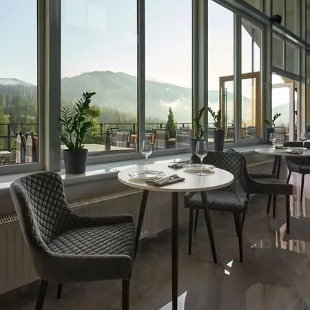 у борисовича & Palyanytsya