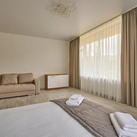 у борисовича & Palyanytsya