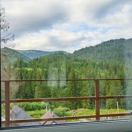 у борисовича &