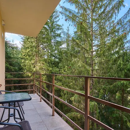 Отель у борисовича&spa