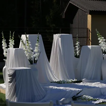 у борисовича &