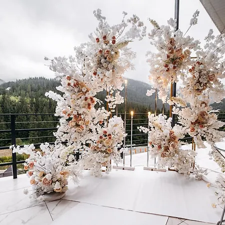 у борисовича &