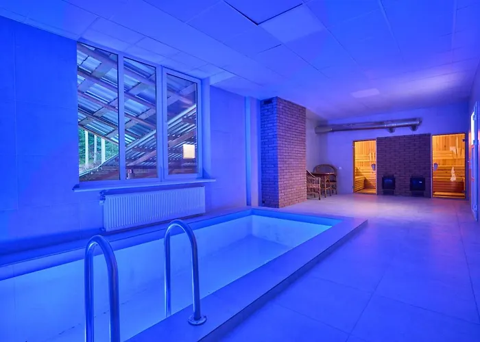 у борисовича & Otel Palyanytsya