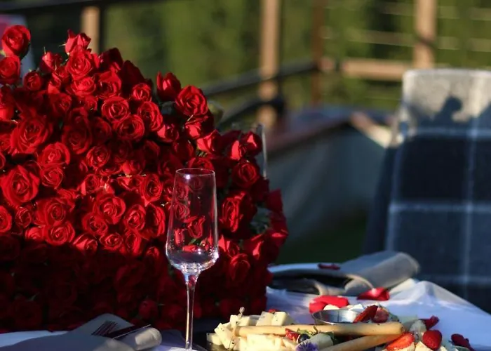 у борисовича & Otel 4*