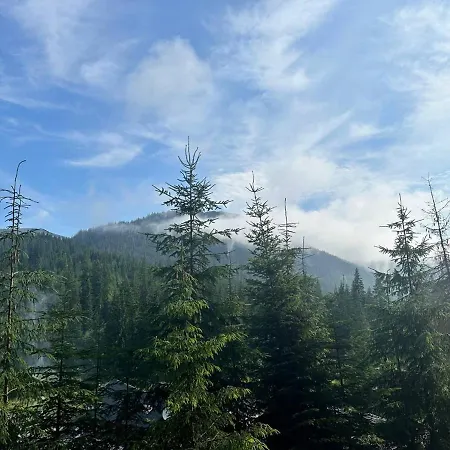 у борисовича & 4*