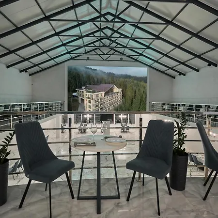 у борисовича &