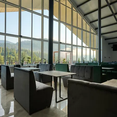 у борисовича & Hotel Palyanytsya