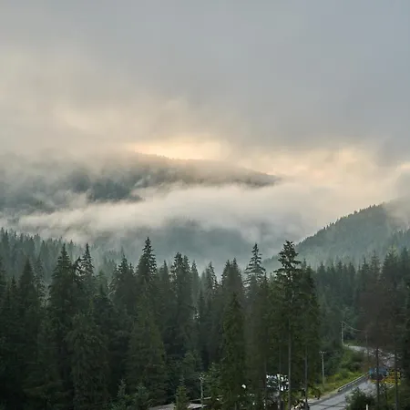 у борисовича & Hotel Palyanytsya