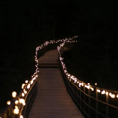 у борисовича &