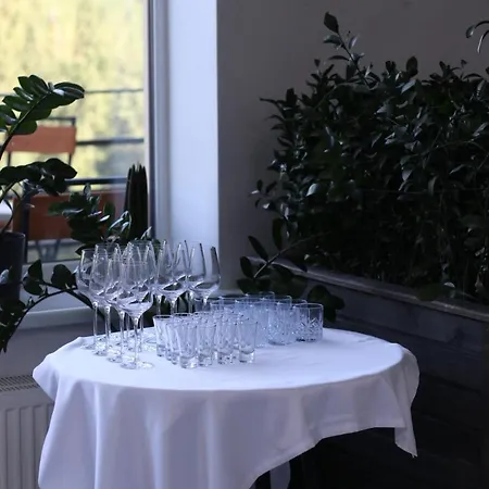 Hotel у борисовича & 4*